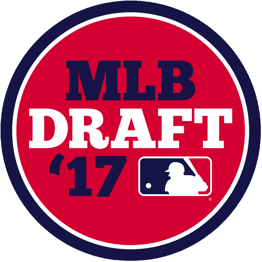 MLB Draft 2017 Primary Logo DIY iron on transfer (heat transfer)